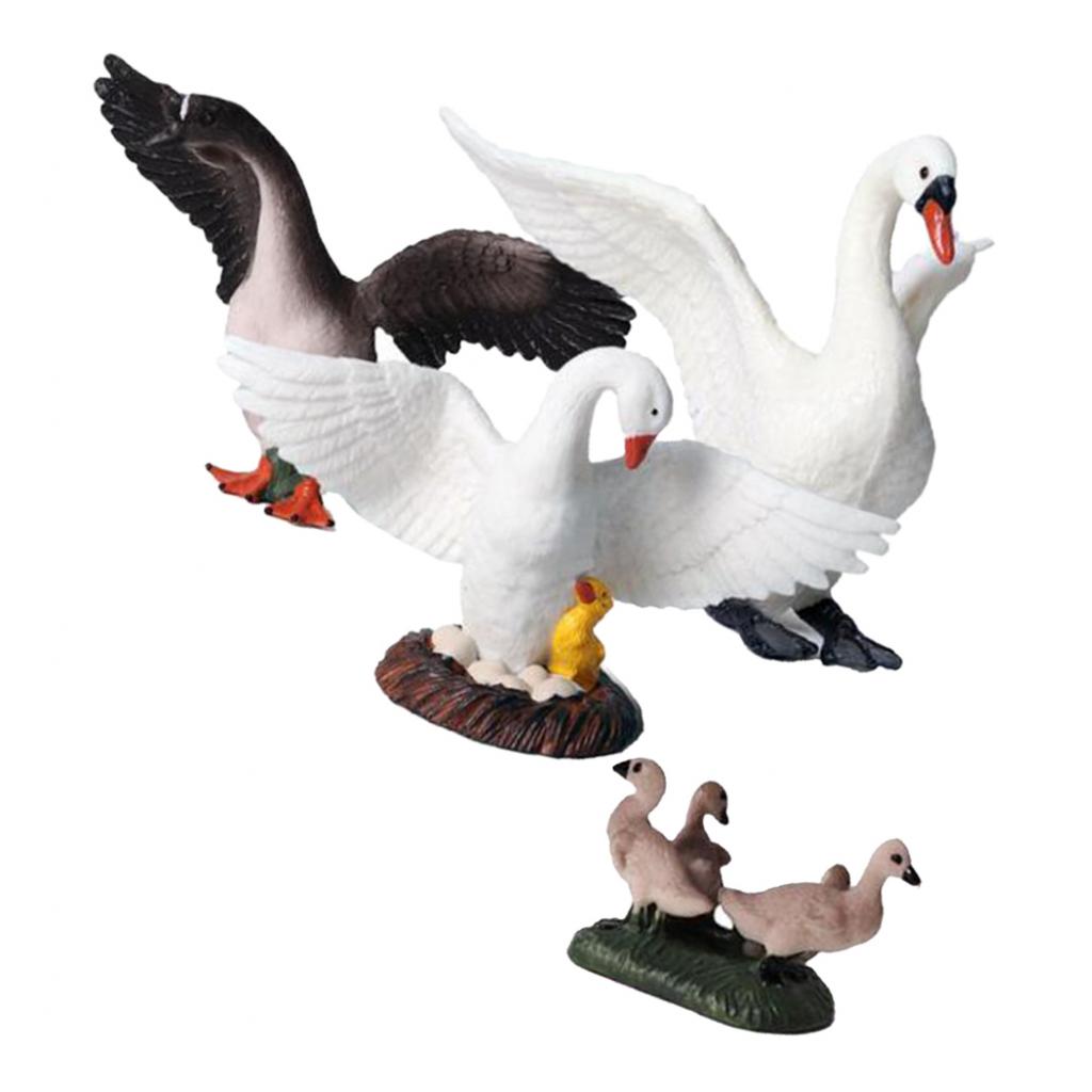 Kids Education Shows - Statuette di Cigni Realistiche, Decorazioni da