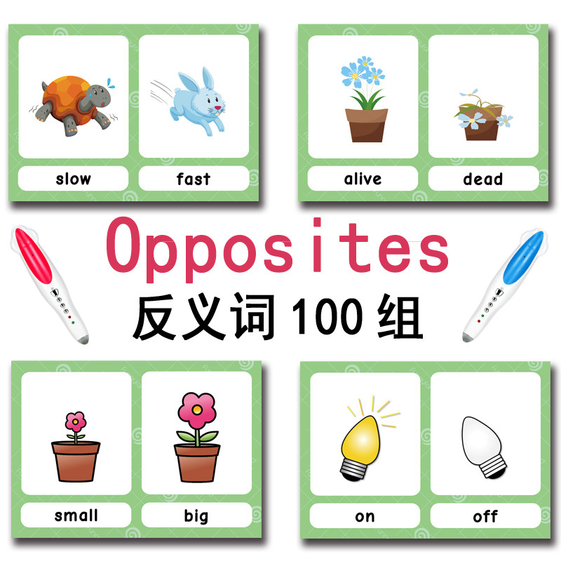 100 Gruppi di Carte Flash con  - Kids Educational Device recensione e prezzo