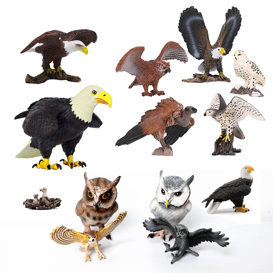 Figurine realistiche di uccell - Kids Education Shows recensione e prezzo