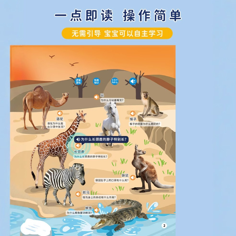 Libro Sonoro Interattivo per l - Kids Education Words recensione e prezzo