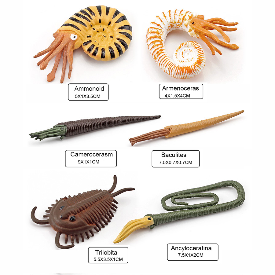 Set di 12 Modellini Realistici - Kids Education Shows recensione e prezzo