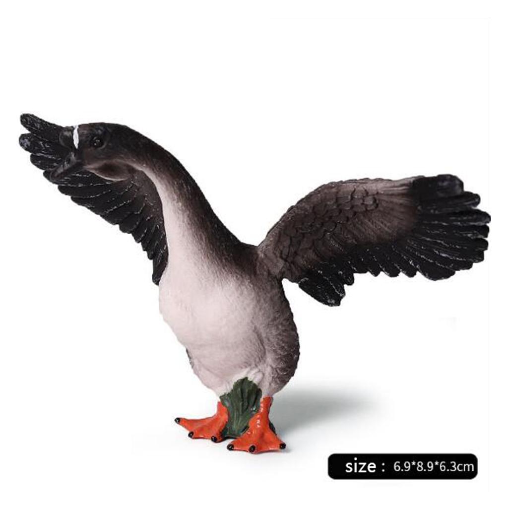 Statuette di Cigni Realistiche - Kids Education Shows recensione e prezzo