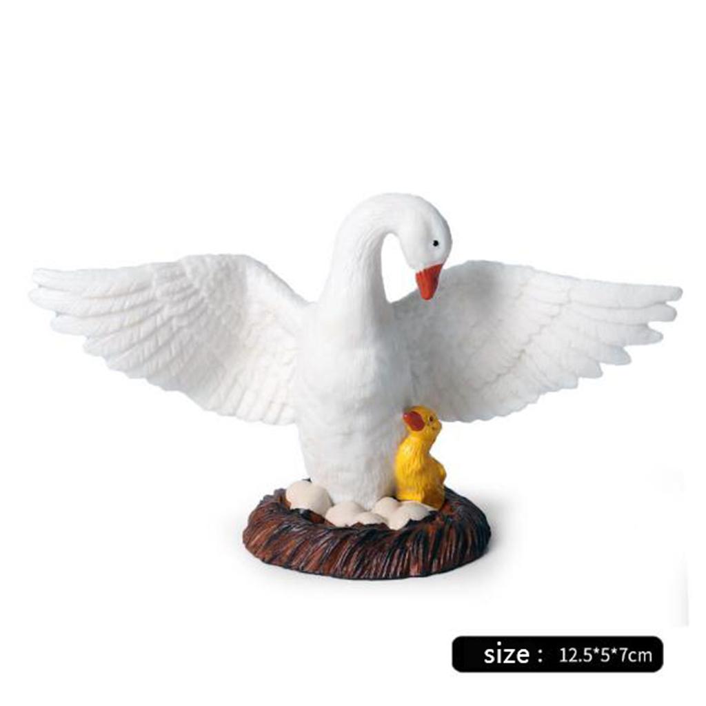 Statuette di Cigni Realistiche - Kids Education Shows recensione e prezzo